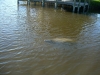 dscn0104