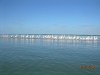 dscn0289