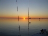 dscn0333
