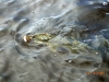 dscn0365