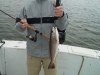 img_20130322_122950