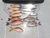 201408071340