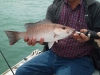 img_20140331_130713