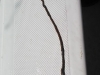 201504181631