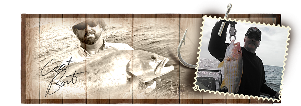 nivo slider image