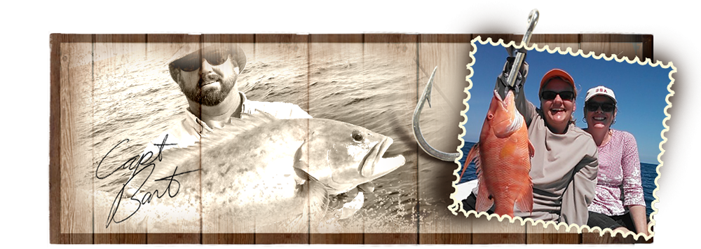 nivo slider image